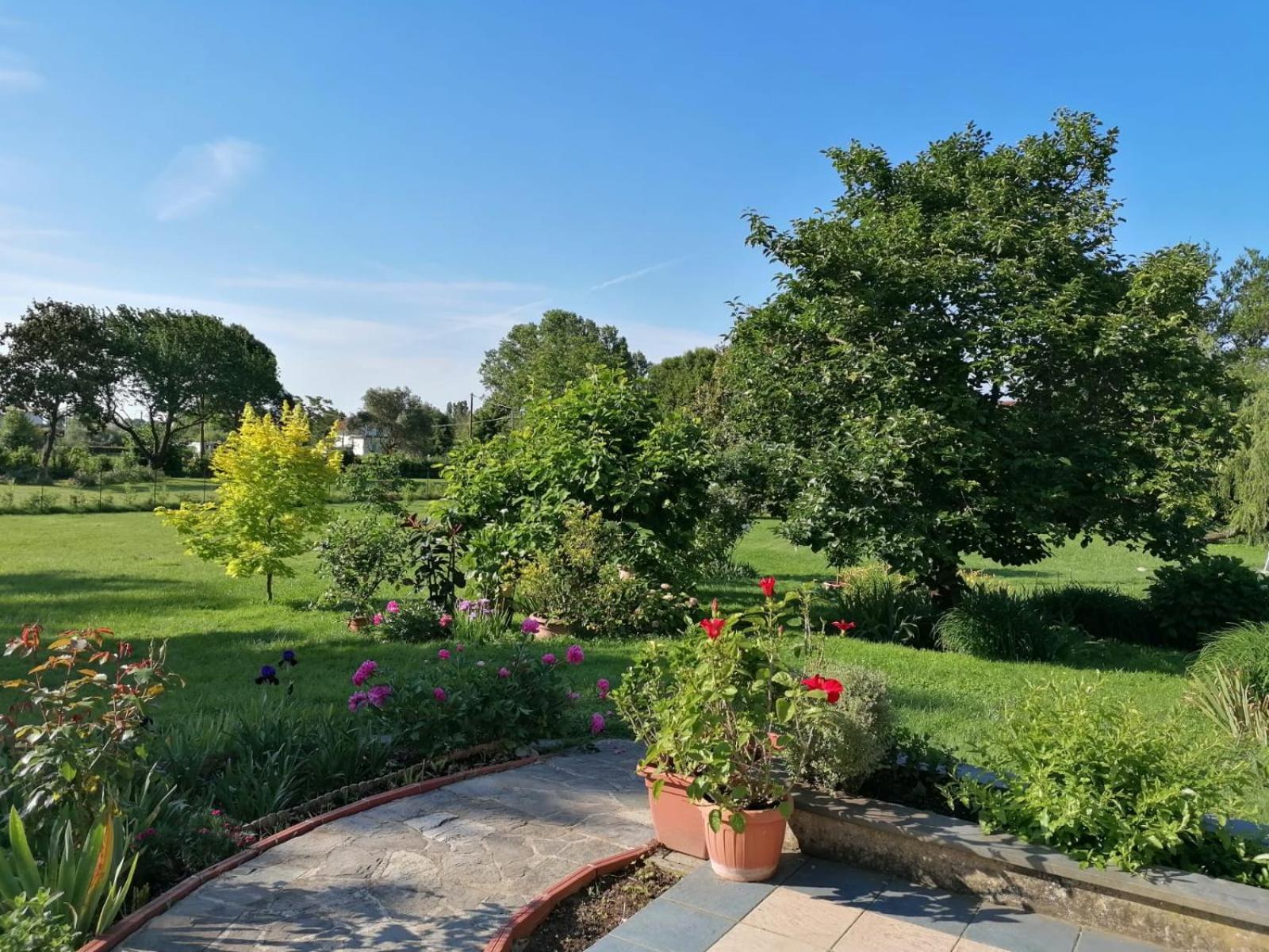 Versilia - Pietrasanta - Le Colmate Guesthouse Tonfano Buitenkant foto
