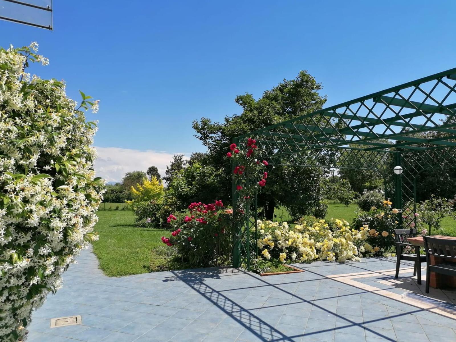 Versilia - Pietrasanta - Le Colmate Guesthouse Tonfano Buitenkant foto