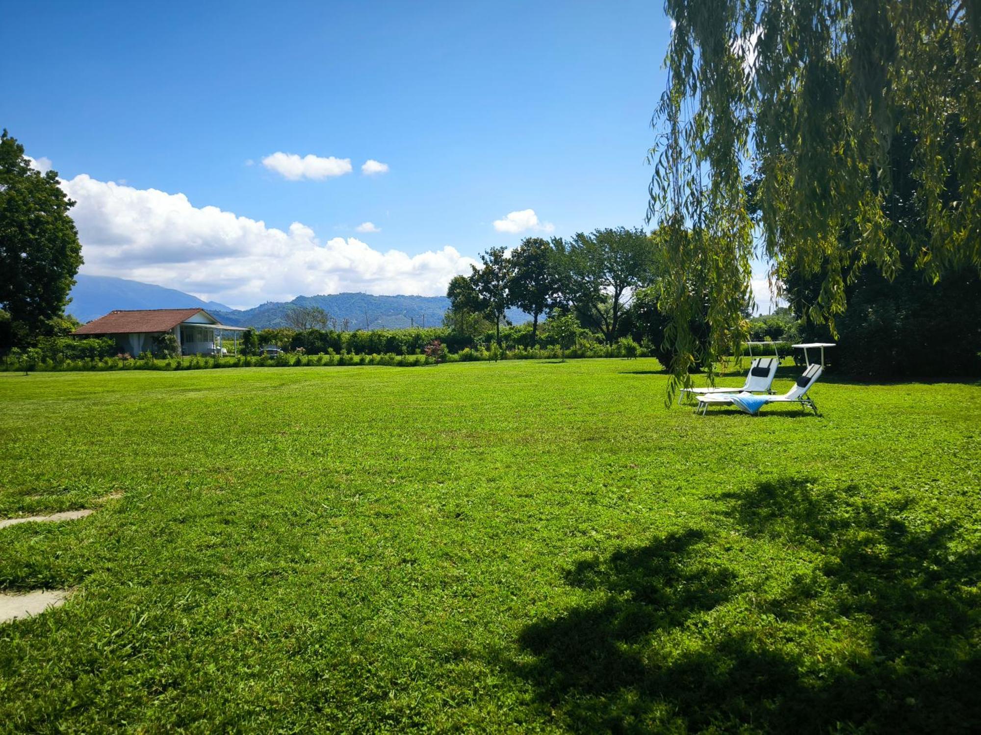 Versilia - Pietrasanta - Le Colmate Guesthouse Tonfano Buitenkant foto