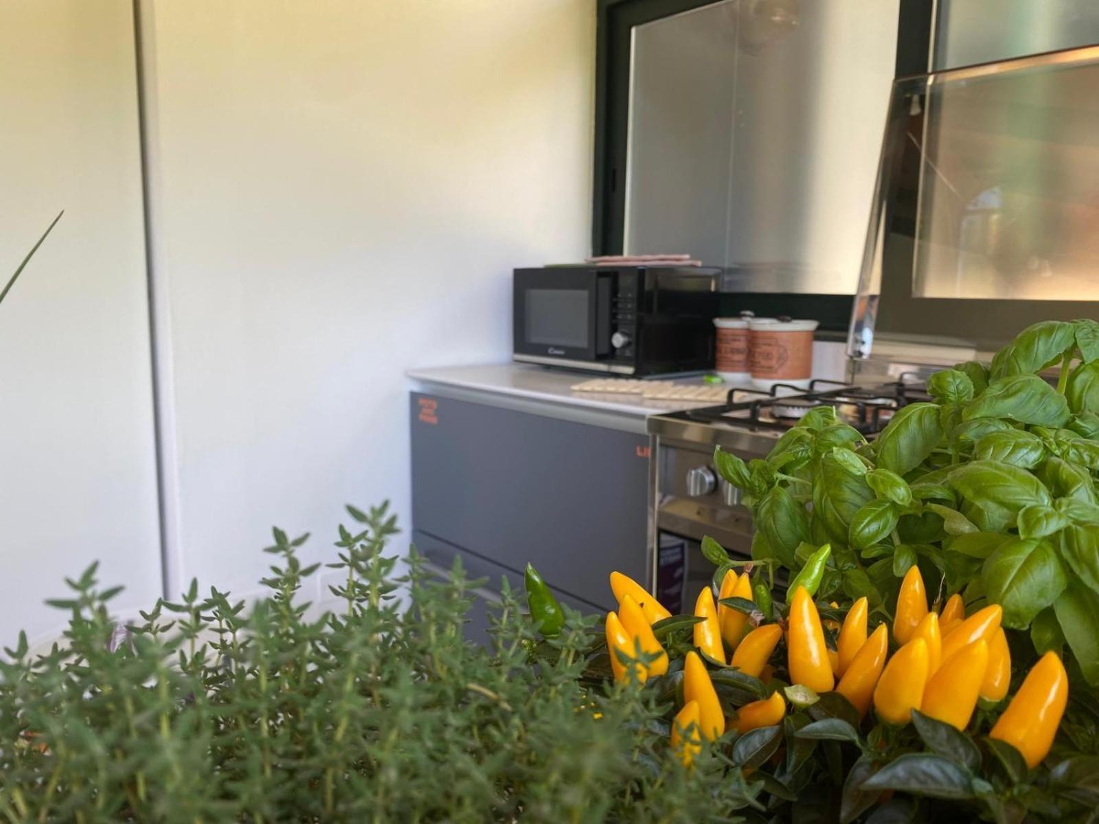 Versilia - Pietrasanta - Le Colmate Guesthouse Tonfano Buitenkant foto